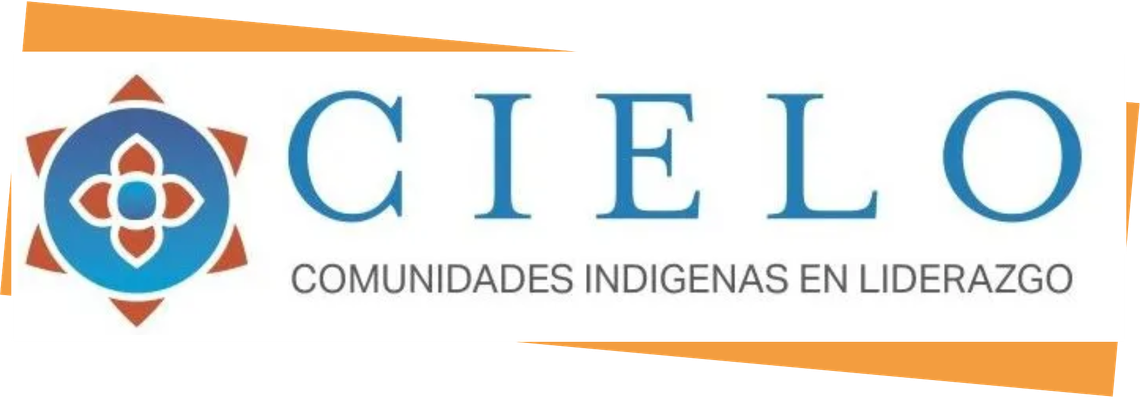 cidp case studies cielo